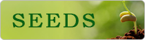 Seednet India